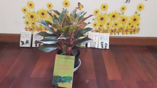 Gieo Trồng Hạnh Phúc cẩm nang thiền cho bất cứ ai