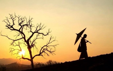 Hạnh phúc hay khổ đau đều do mình tạo lấy