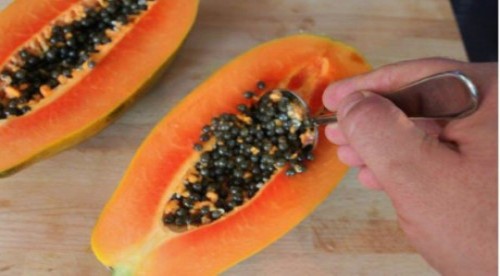 Hạt đu đủ chữa lành bệnh xơ gan, viêm khớp và rất nhiều bệnh khác