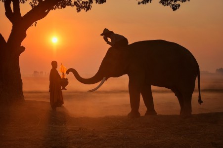 Hãy sống hết lòng con đường mình đã chọn trong giây phút hiện tại