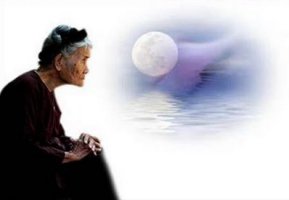 Hoa Song Đường - Số 47