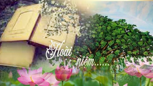 Hoài niệm tôn sư