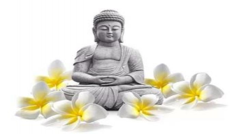 Học dở mà tu hay