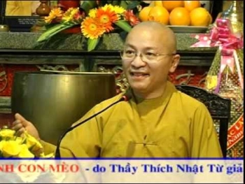 Chuyển nghiệp qua hình ảnh con mèo