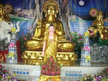 Lễ  an vị Kim thân đại Phật tượng tại  Nghệ An