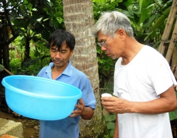 Đổ xô đi xem cây dừa bỗng dưng biết...