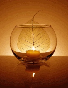 Tìm hiểu ý nghĩa câu kệ "Namo..lễ Phật"