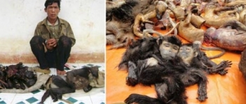 Thú bổ dưỡng man rợ