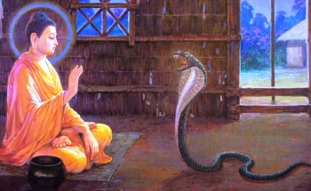 Năm Quý Tỵ nói về chuyện rắn