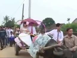 Video: “Vượt mặt” đại gia, rước dâu bằng xe trâu