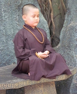 Chú tiểu Thích Chân Tâm “Thánh tăng” 5 tuổi?