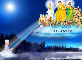 Thế giới A Di Đà Phật là thế giới của tình thương và chân thật