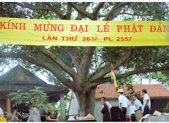 Phật đản về trên chùa nghèo huyện Vũ Quang