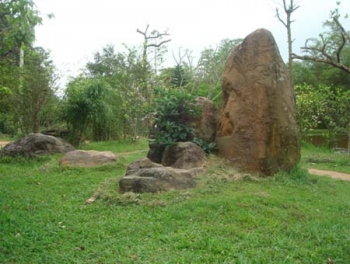 Ngôn ngữ Của Nghệ Thuật Vườn Cảnh