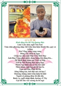 Kỷ niệm 50 năm Pháp Nạn Lịch Sử PGVN 2507 - 2557 (Bài 1)