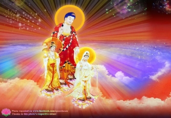 Niệm Phật chuyển hóa tế bào ung thư