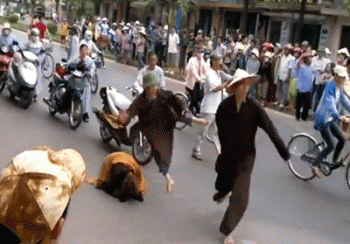 Bất bình trước kẻ "mượn" áo sư làm hại uy tín nhà chùa