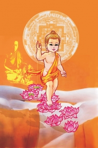 Đức Phật nói Pháp gì khi mới chào đời?