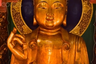 Giác ngộ và Giải thoát