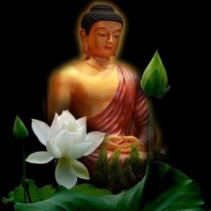 Tâm cấu uế hay Tâm tuệ tri?