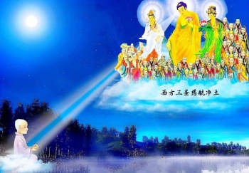 Tu Tịnh độ không phải chỉ tụng kinh Vô Lượng Thọ