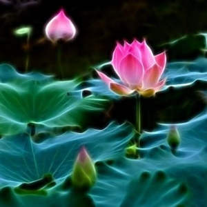 Quan điểm của Đức Phật về của cải vật chất