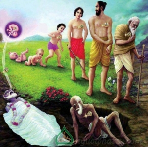 Cách giải quyết bệnh khổ theo giáo lý nhà Phật