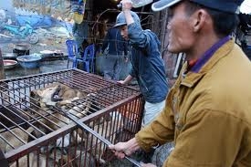 Giết chó - nỗi ám ảnh về cái ác và sự lừa dối