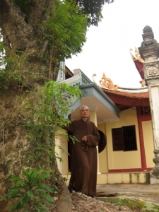 HT Thích Phổ Tuệ: Lão nông Tăng trong ngôi cổ tự