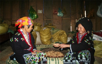 Cụ già chữa bệnh vô sinh giỏi nhất xứ Mường