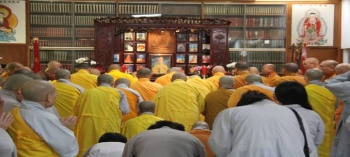 Bóng mát Bồ đề