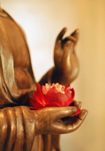 Từ bi hỉ xả đối trị tam độc