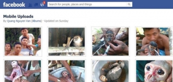 Phẫn nộ cảnh đập đầu, lột da, vặt lông khỉ dã man