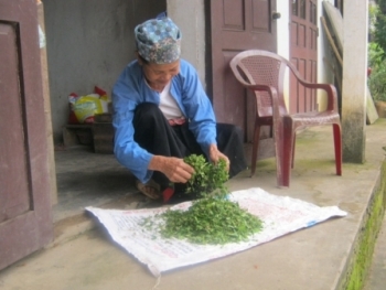 Kỳ diệu phương pháp chữa gãy xương của bà lang xứ mường