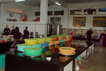 Những trái tim Bồ tát trong khóa tu mùa hè