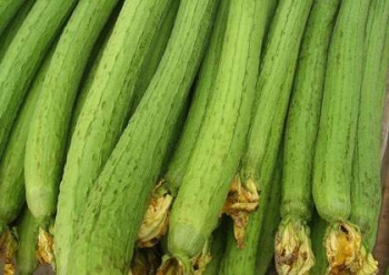 Bất ngờ tác dụng điều trị bệnh của quả mướp