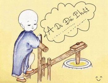 Tịnh độ qua cái nhìn của Thiền