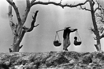 Dòng sữa của mẹ