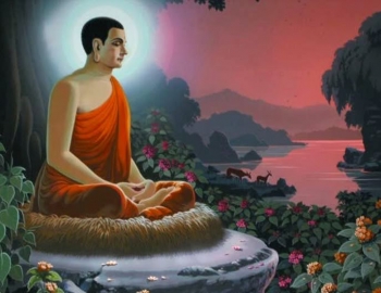 Thiền vị trên đầu lưỡi