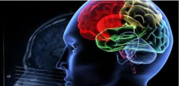 Ngũ uẩn và căn nghiệp của con người