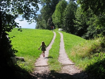 Tuổi trẻ và việc lựa chọn nghề nghiệp