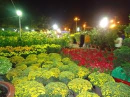 TPHCM: Tham quan chợ Hoa tết ngoại thành