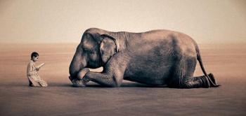 Ăn chay, niệm Phật, Thương người, Thương vật