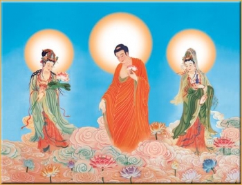 Nhân ngày vía Đức Phật Di Đà nói về sự tích của ngài