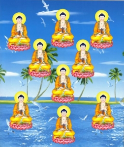 Cỏi tịnh độ ở đâu và có bao nhiêu cỏi tịnh độ