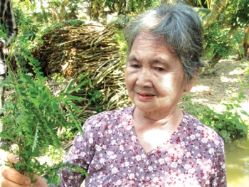 Năm Tỵ ai bị rắn cắn, tìm đến bà Chanh