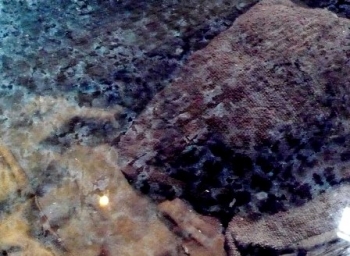 Cả nhà 40 năm sống chung với xác con trai