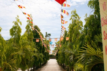 Đà Nẵng rộn ràng cho mùa Đại lễ