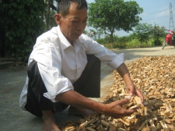 Bài thuốc nam giản dị bóp nát những viên sỏi thận