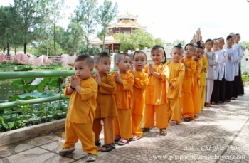 Tuổi trẻ và vấn đề trí tuệ